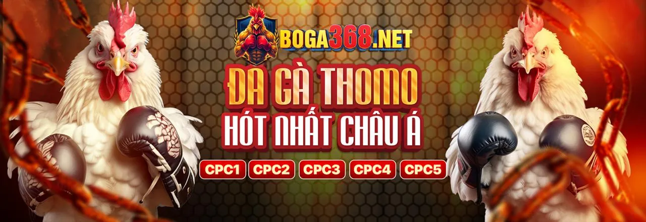 Tin tức mb6 cập nhật xổ số và giải trí