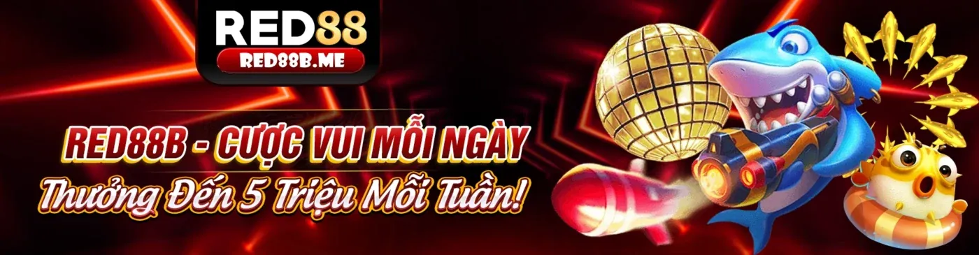 Hình ảnh minh họa Điều khoản và Điều kiện mb6