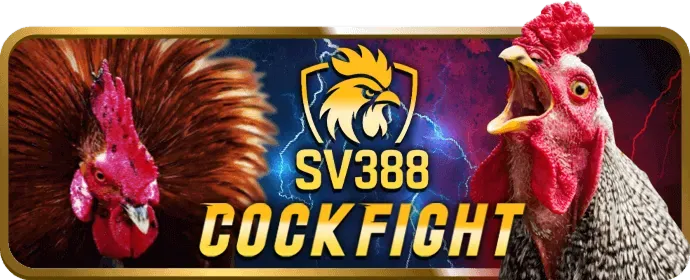 Bắt đầu săn cá mb6