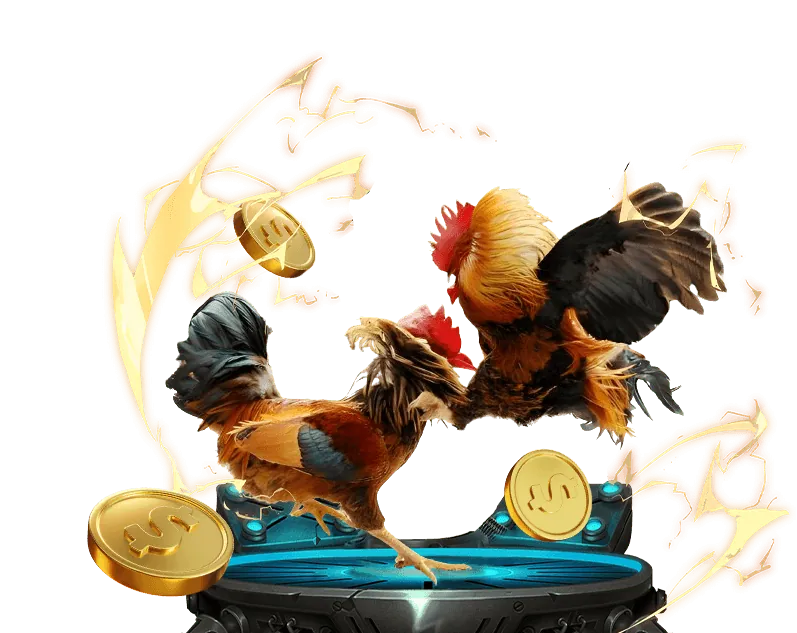 Gói Chào Mừng Toàn Diện